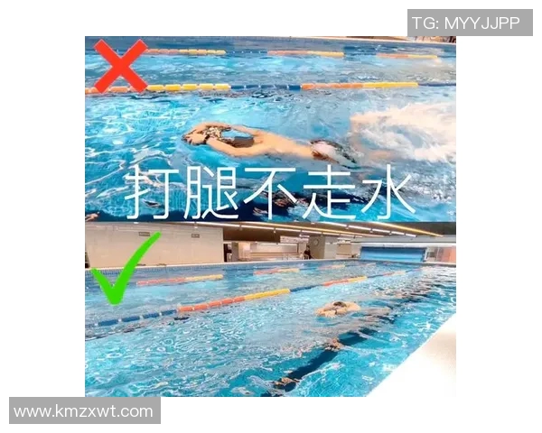 提升自由泳技巧的五大关键训练动作，助你游得更快更稳